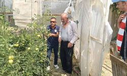 Tavşanlı’da seralarda bitki hastalık ve zararlı kontrolleri