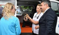 Yıldırım'da patili canlara mobil hizmet