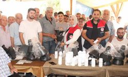 Düzce’de kahverengi kokarca ile mücadele devam ediyor