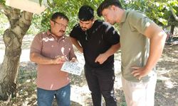 Uşak’ta tarımsal zararlılarla mücadele çalışması