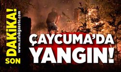 Çaycuma’da yangın: Rüzgar alevleri büyüttü, ekipler seferber oldu!