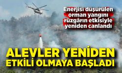 Orman yangınında alevler yeniden etkili olmaya başladı