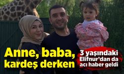 Festival yolculuğunda aynı aileden 5 kişi hayatını kaybetti