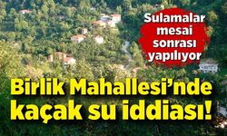 Birlik Mahallesi’nde kaçak su iddiası: Sulamalar mesai sonrası yapılıyor