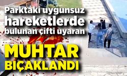 Parktaki uygunsuz hareketlerde bulunan çifti uyaran muhtar bıçaklandı