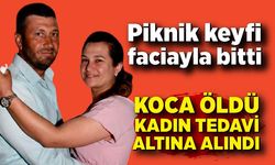 Çiftin piknik keyfi faciayla bitti