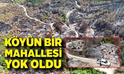 Orman yangınında köyün bir mahallesi yok oldu