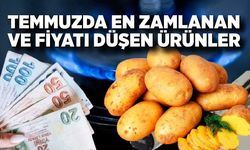Temmuz ayında  fiyatı en çok artan ve azalan ürünler belli oldu