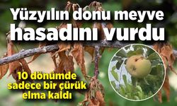 Yüzyılın donu meyve hasadını vurdu: 10 dönümde sadece bir çürük elma kaldı