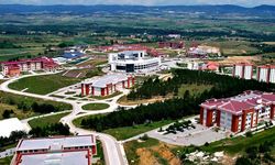 Kastamonu Üniversitesi'nde üretilen yüksek sıcaklığa dayanıklı malzeme tescillendi