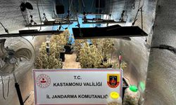 Çiftlik evlerini kenevir yetiştiren sanıklar tahliye edildi