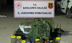 Şanlıurfa'da 13 kilo 600 gram skunk ele geçirildi