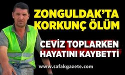 Zonguldak’ta feci ölüm: Ceviz toplarken elektrik akımına kapılarak can verdi