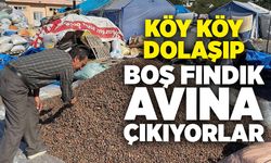 Köy köy dolaşıp boş fındık avına çıkıyorlar