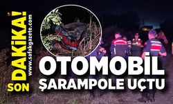 Yoldan çıkan otomobil, şarampole uçtu