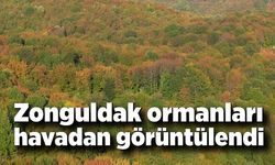 Zonguldak ormanlarında sonbahar renkleri havadan görüntülendi