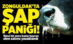 Zonguldak’ta şap paniği! İkinci bir emre kadar hayvan alım satımı yasaklandı