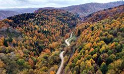 Renk cümbüşü havadan görüntülendi