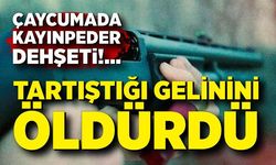 Çaycuma'da korkunç olay! Kayınpeder gelinini tüfekle vurdu