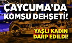Çaycuma’da komşu dehşeti: Yaşlı kadın darp edildi!