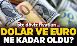 Dolar ve Euro ne kadar ? 2 Aralık 2025 güncel döviz kurlarında son durum