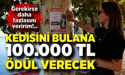 Kedisi kayboldu, bulana 100 bin lira ödül vaat etti!