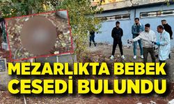 Mezarlıkta bebek cesedi bulundu