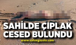 Sahilde çıplak cesed bulundu