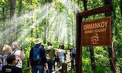 Ormanya ve Kuzuyayla’yı 2 milyon 280 bin kişi ziyaret etti
