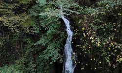 Sonbahar büyüsü: Doğanın tüm renkleri bir arada
