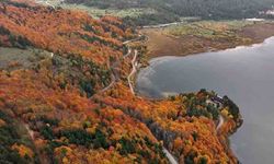 Doğaseverler sarı, kırmızı ve yeşilin dansına hayran kaldı