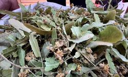 Geçen sene altınla yarışıyordu, bu yıl fiyatı düştü