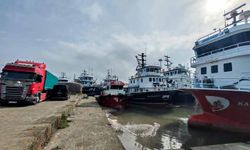 Araklı Limanı'nda hafta sonu hamsi yoğunluğu