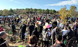 3 bin 500 fidan dikildi