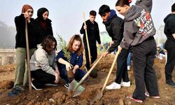 Düzce Üniversitesi’nden yeşil vatan için ağaçlandırma seferberliği