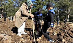Şehit orman işçisi Enes Kızılyer anısına çeşme açılışı ve fidan dikimi yapıldı