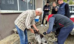 Dijital kimliklendirmede son tarih 31 Aralık 2025