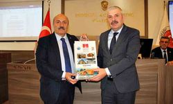 Taşköprü Pompeiopolis Antik Kenti için film festivali planlıyor