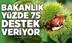 Bakanlık yüzde 75 destek veriyor