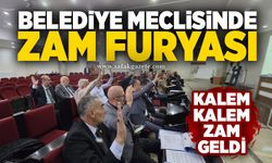 Belediye meclisinde zam furyası: Kalem kalem zam geldi