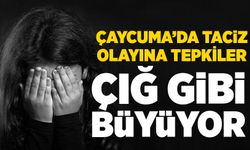 Çaycuma'da taciz olayına tepkiler büyüyor: "Çocuk istismarı “şaka” adı altında mazur görülemeyecek"