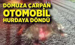 Domuza çarpan otomobil hurdaya döndü: 1 yaralı