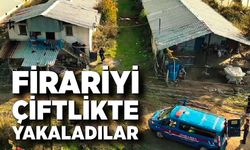 Firariyi çiftlikte yakaladılar