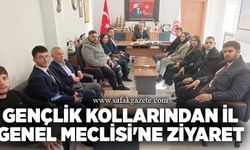 Gençlik kollarından İl Genel Meclisi'ne ziyaret