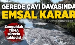 Gerede Çayı davasında emsal karar: Ankara Bölge İdare Mahkemesi red kararını bozdu