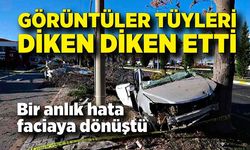 Ağaca çarpan araç ikiye bölündü: Görüntüler tüyleri diken diken etti