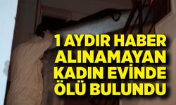 1 aydır haber alınamayan kadın evinde ölü