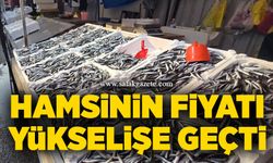 Hamsinin fiyatı yükselişe geçti