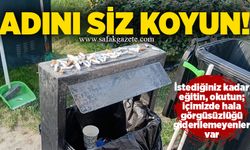Adını siz koyun!