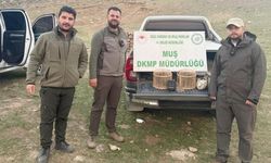 Kafes avcılığı yapan şahıs suçüstü yakalandı: 20 bin TL ceza